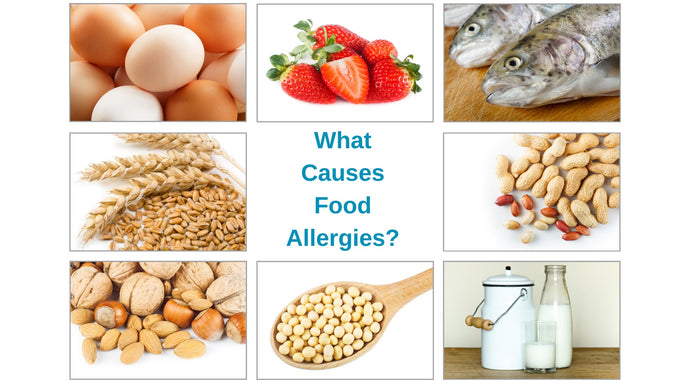 What Causes Food Allergies?