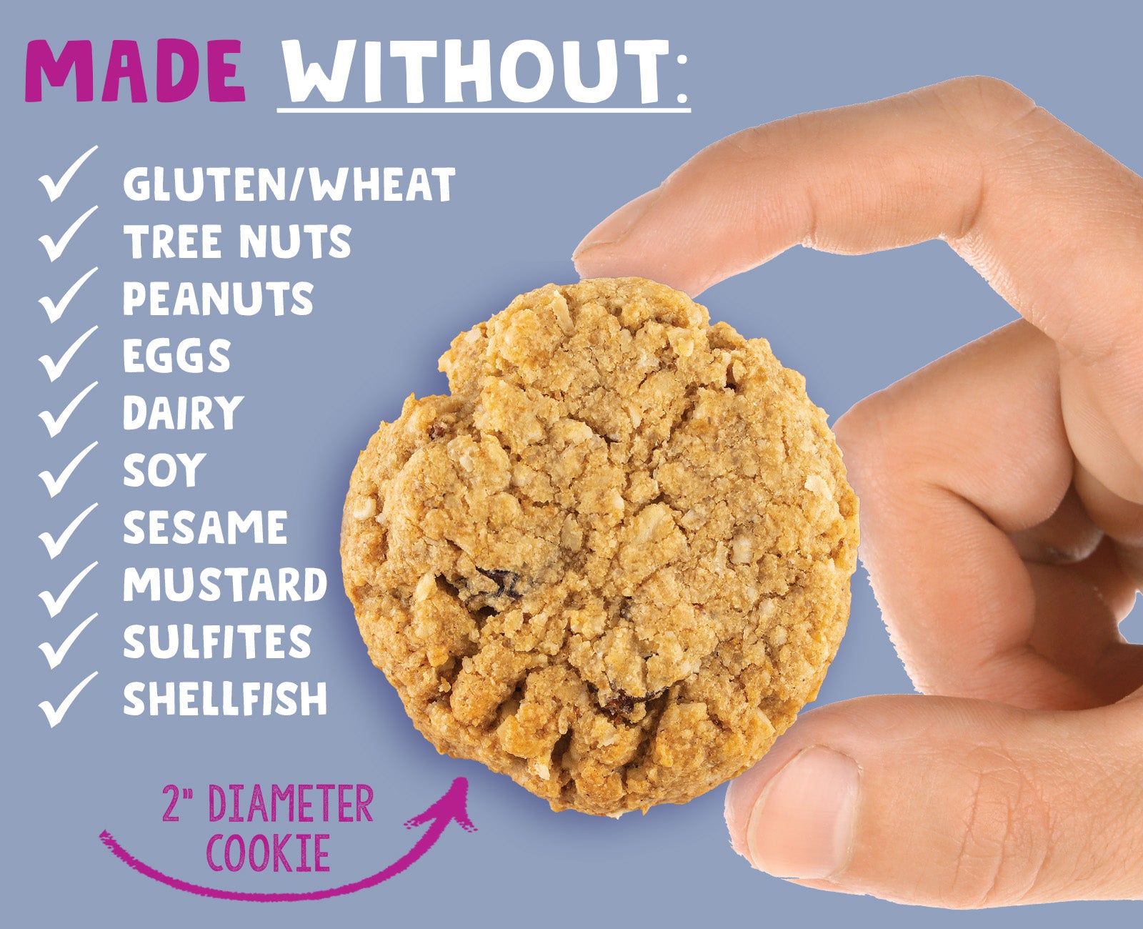 Oatmeal Raisin Cookies | 2 Boxes - AllergySmart - Green Gourmand Foods Inc.