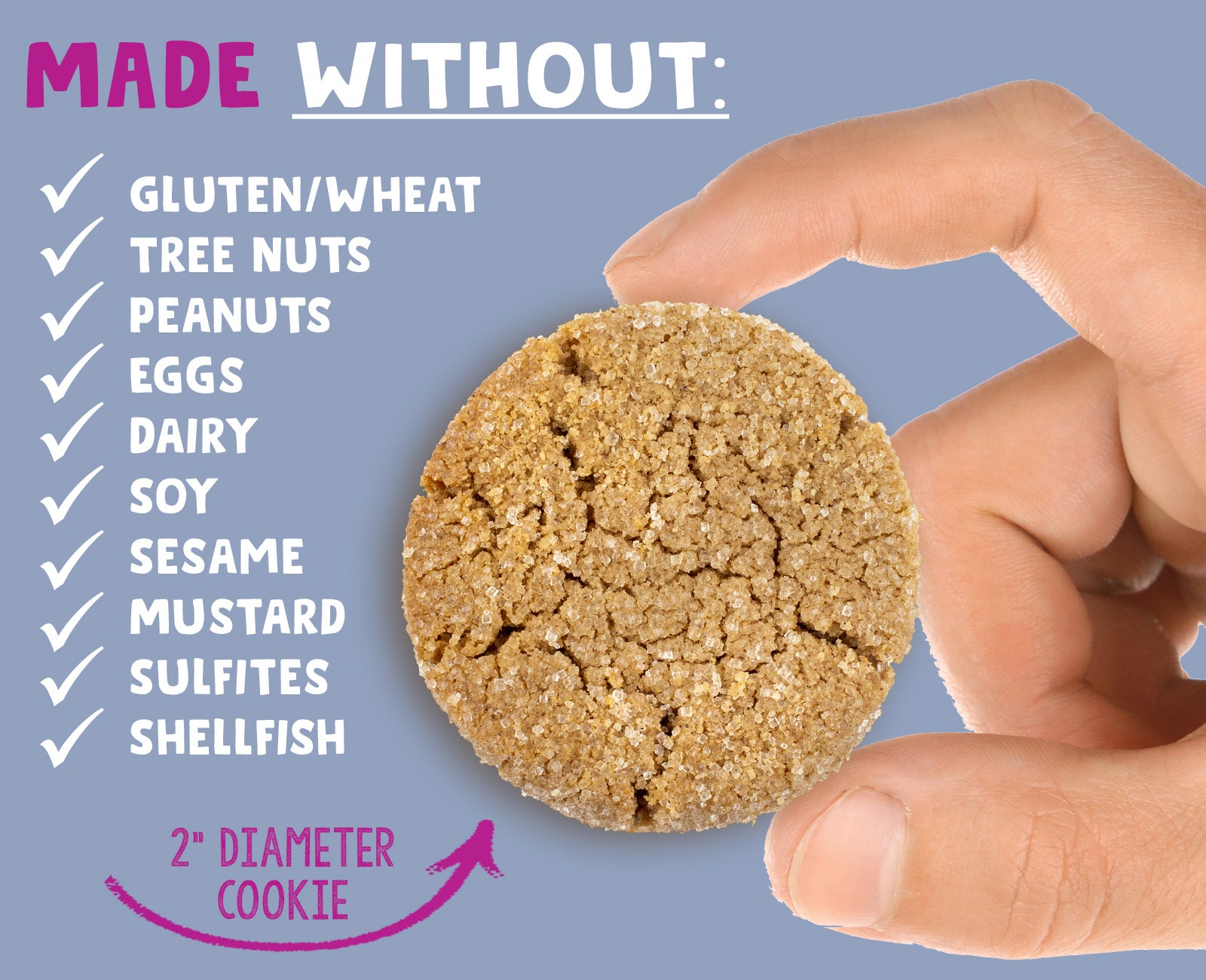 Snickerdoodle Cookies | 2 Boxes - AllergySmart - Green Gourmand Foods Inc.
