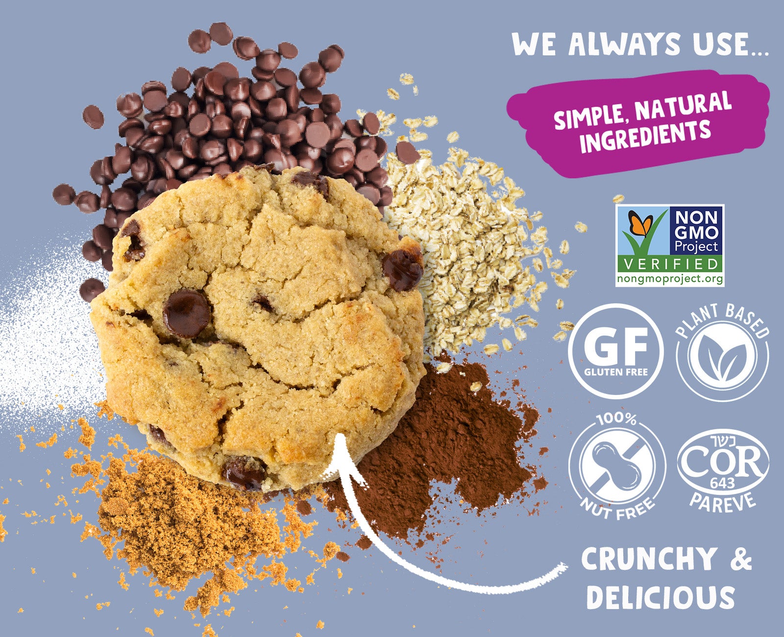 Chocolate Chip Cookies | 2 Boxes - AllergySmart - Green Gourmand Foods Inc.