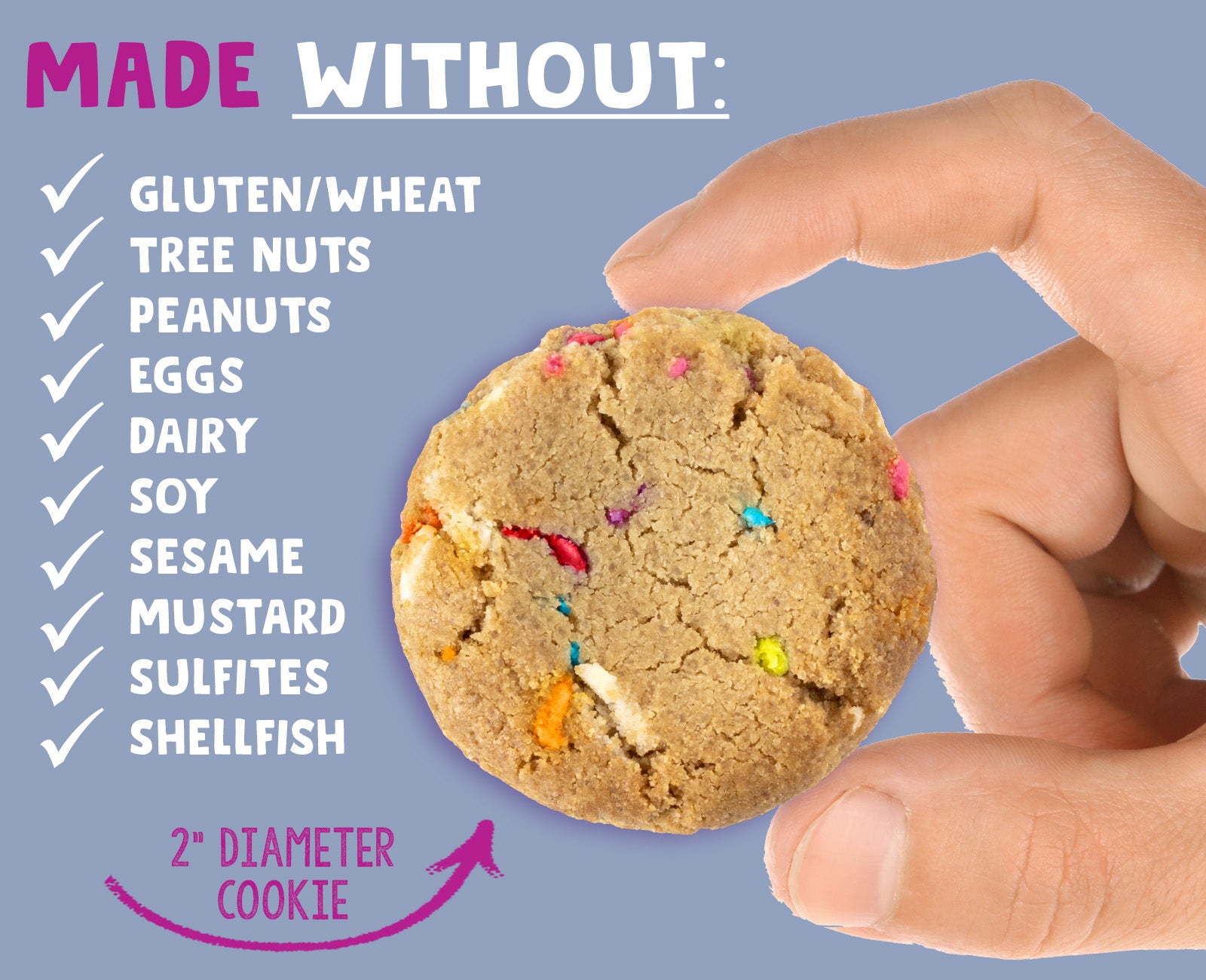 Birthday Cake Cookies | 2 Boxes
